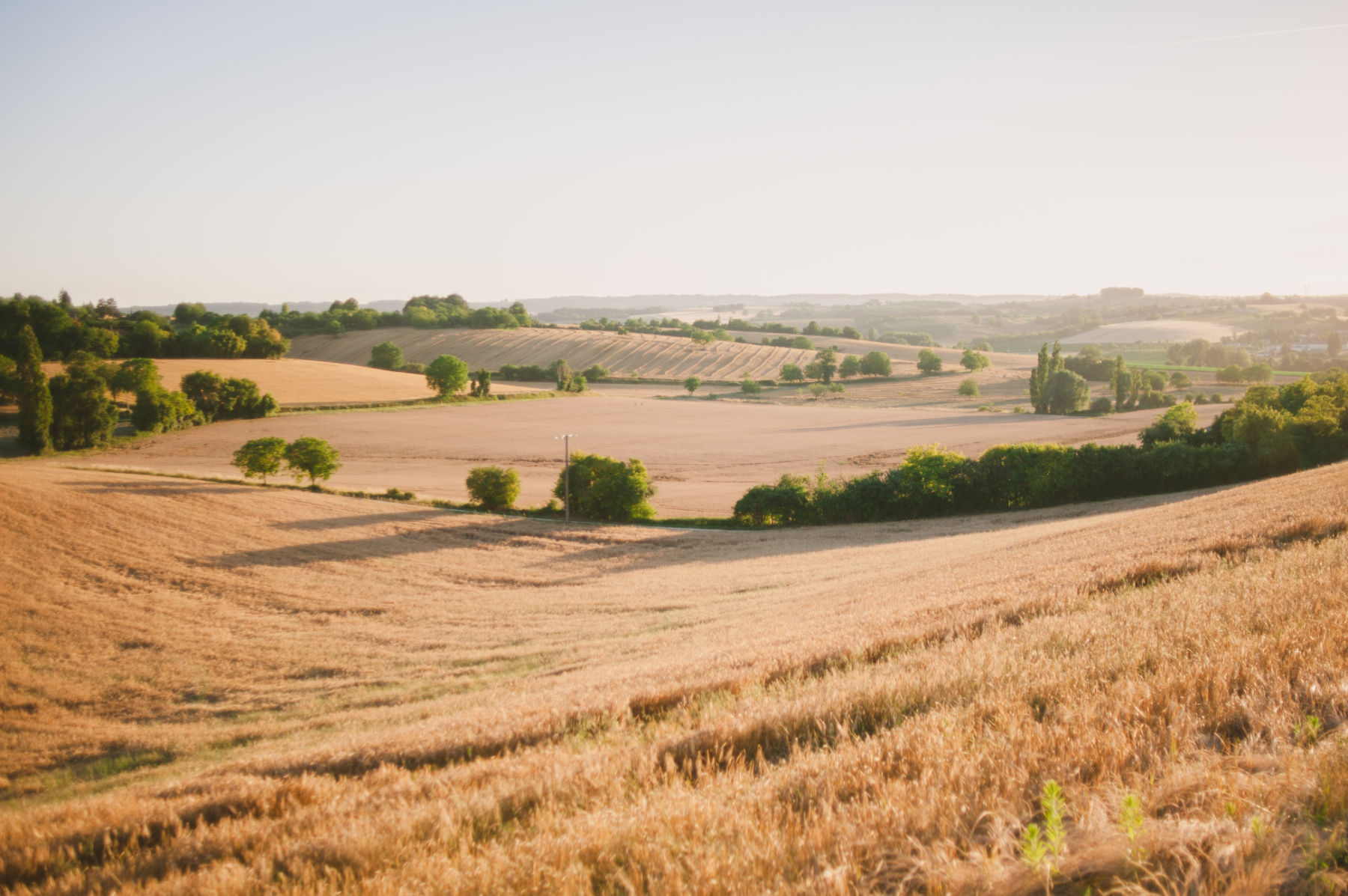 QuirkyCamping196 Quirky Camping